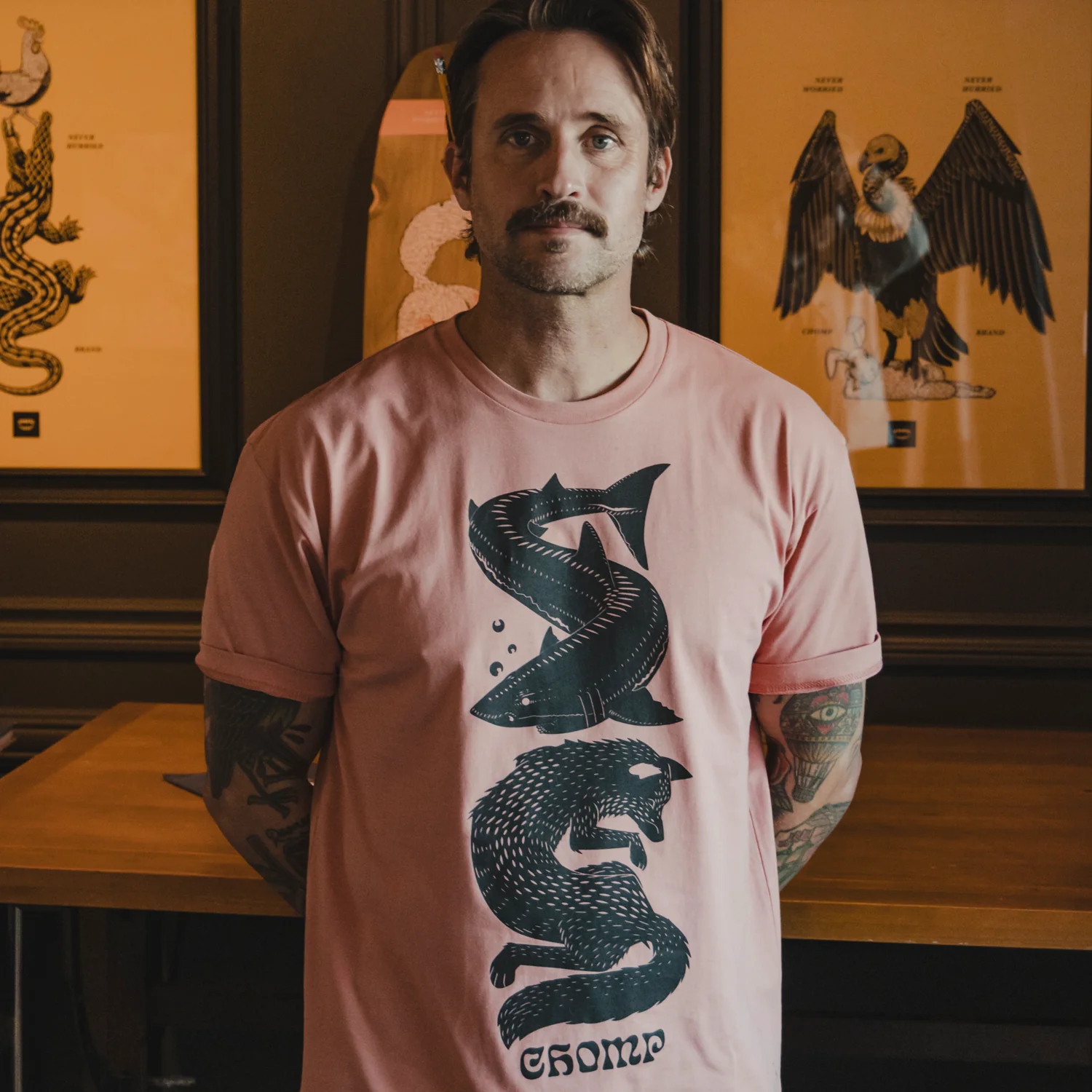 Shark Fox - Image 4