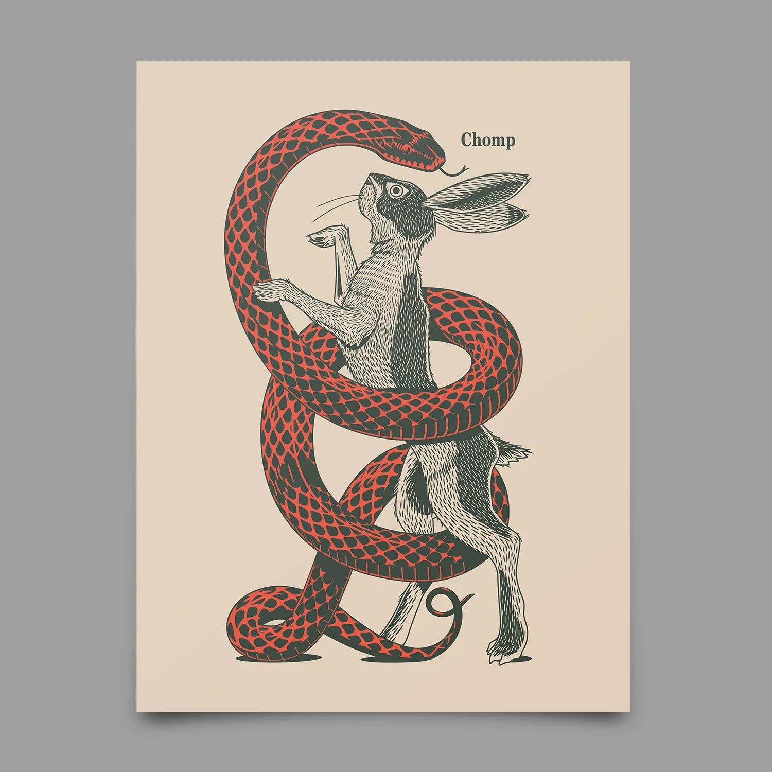 Snake Hare Print - Image 3